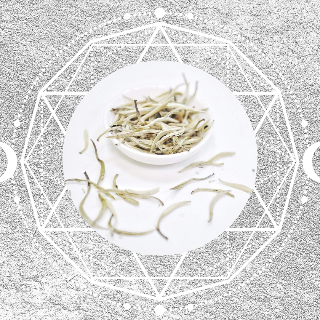 7 Health Benefits of White Tea - Magic Hour