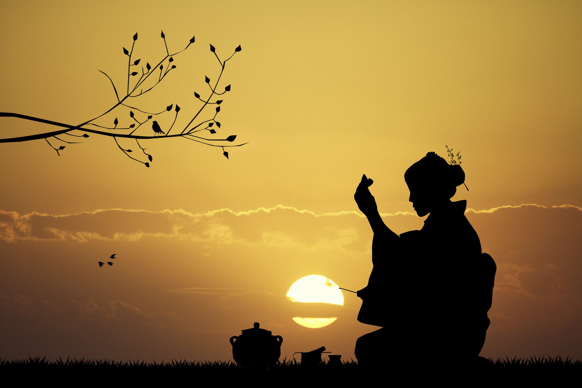 Happy Year of The Rat! - Magic Hour