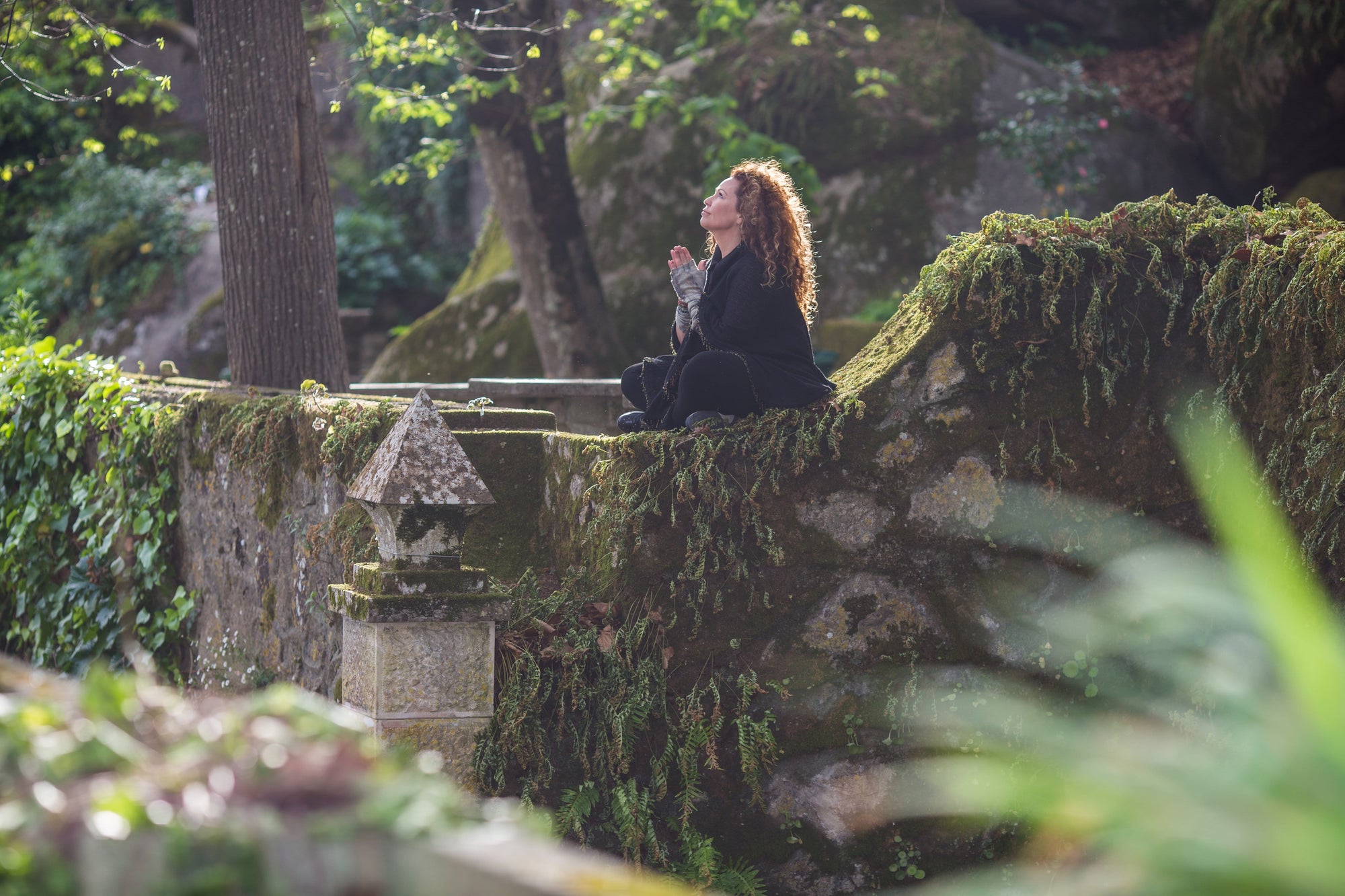 The Tea Ceremony Called Life - Magic Hour