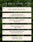 All About Oolong: A Digital Coursebook outlines six topics—tea compounds, growing oolong, oolong regions, production, health benefits, and sampling tips—displayed on cream boxes atop green leaves for aspiring tea connoisseurs.