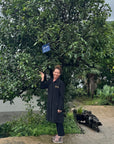A woman in a black coat and pink sneakers smiles as she points to a blue sign on an ancient tea tree, one of the sources for Yunnan Ancient Tree Black Tea. She stands outdoors among greenery, rocks, and under an overcast sky.