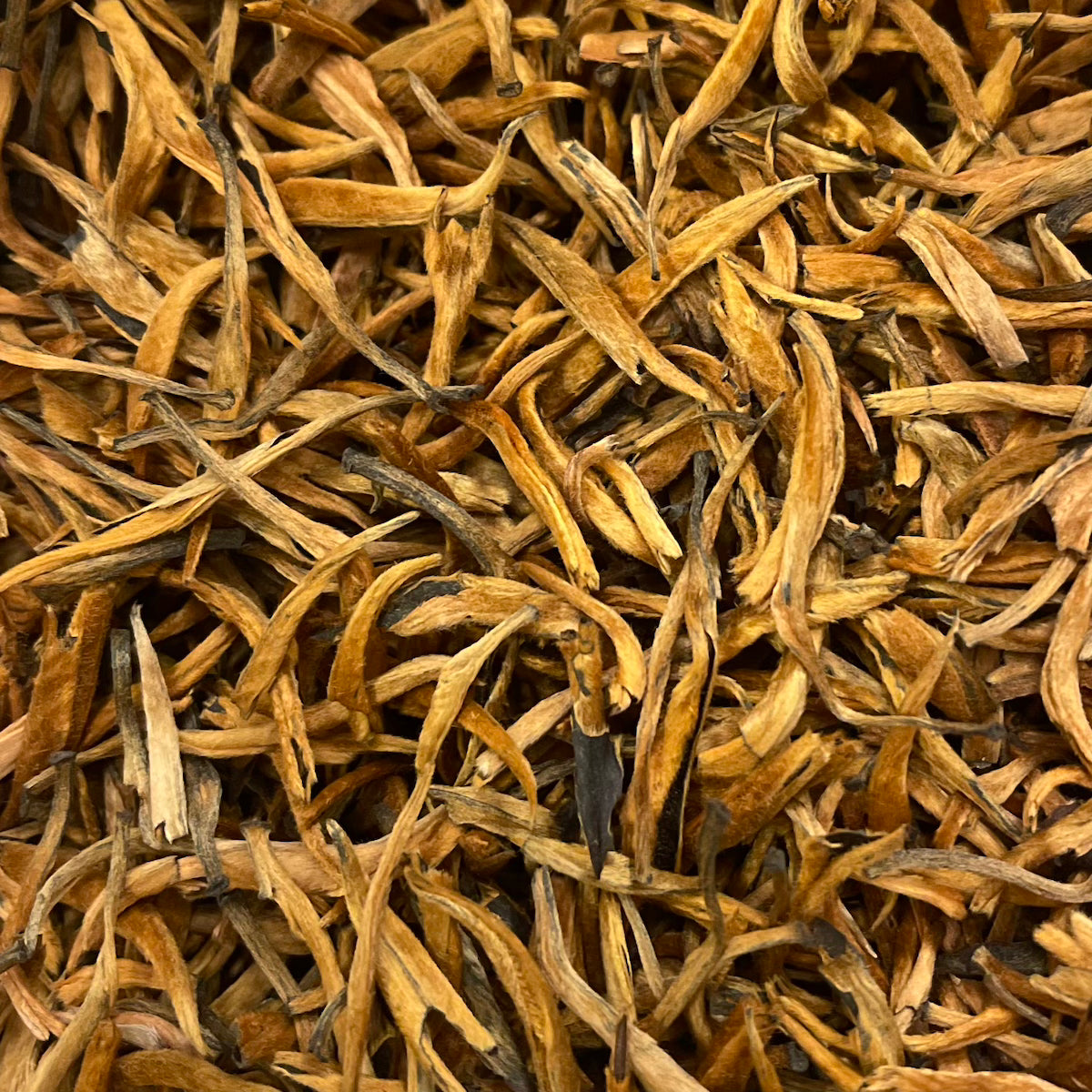 A close-up of Yunnan Gold Buds Black Tea shows loose, dried leaves with thin, curly, slightly twisted shapes in shades of gold, light brown, and tan.