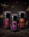 Three black tea tins with Halloween-themed labels—Haunted Hibiscus, Black Cat Boheme, and Candy Corn—stand against a dark background adorned with gold illustrations of a dragonfly, butterfly, and swirling stars. The Halloween Bundle features limited-release teas in hand-crafted blends, perfect for elevating your spooky season sipping.