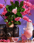 A decorative setup featuring The High Priestess Box skincare products with mystical-themed packaging, surrounded by pink cherry blossoms and green leaves. The display includes an ornate glass pitcher, a pink crystal sphere on a stand, a black crystal tower, and vintage glassware. A pastel background enhances the vibrant colors of The High Priestess Box.