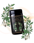 A black canister labeled "Matcha Herbed Salt" displays botanical garlic and green leaf illustrations, with coordinating floral accents—an ideal way to showcase this gourmet spice mix on a light background.