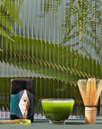 A serene tea setup featuring a dark canister with a geometric label, a glass bowl filled with vibrant green matcha tea, and a bamboo whisk. The background shows lush fern leaves behind a textured glass panel, creating a calm, natural ambiance.
