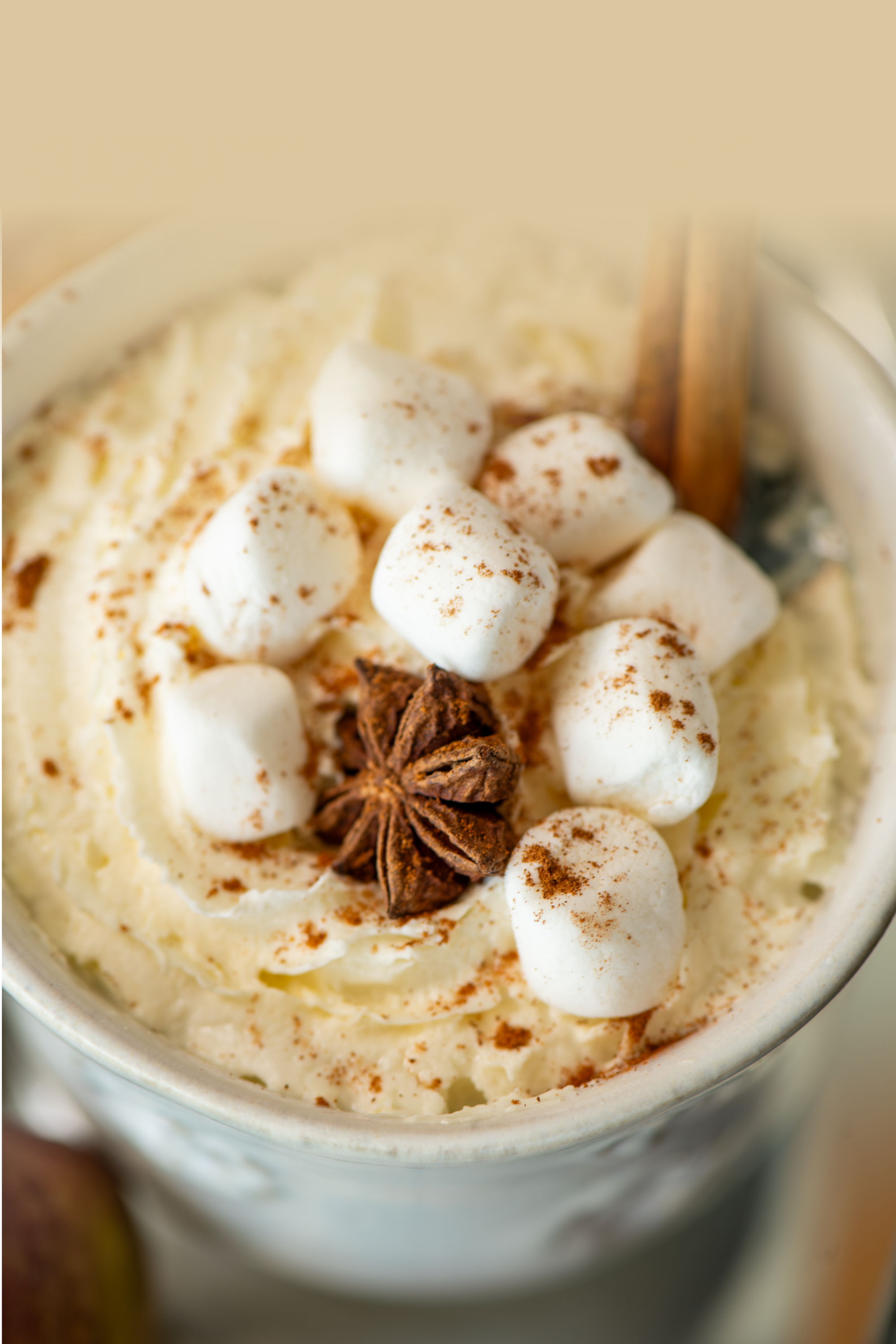 A close-up of a mug filled with whipped cream, topped with mini marshmallows, ground cinnamon, and an anise star. A cinnamon stick is placed to the side, adding to the festive presentation. The background is blurred, emphasizing the contents of the mug.