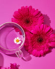 A glass teacup from the "Hot Girl Summer Tea Box (Put it on ICE!)" showcases a small daisy floating in water, set against a vibrant pink backdrop. Nearby, two large fuchsia flowers add to the bright and cheerful composition. Fully embrace this summer tea experience with small pink petals scattered around to complete the scene.