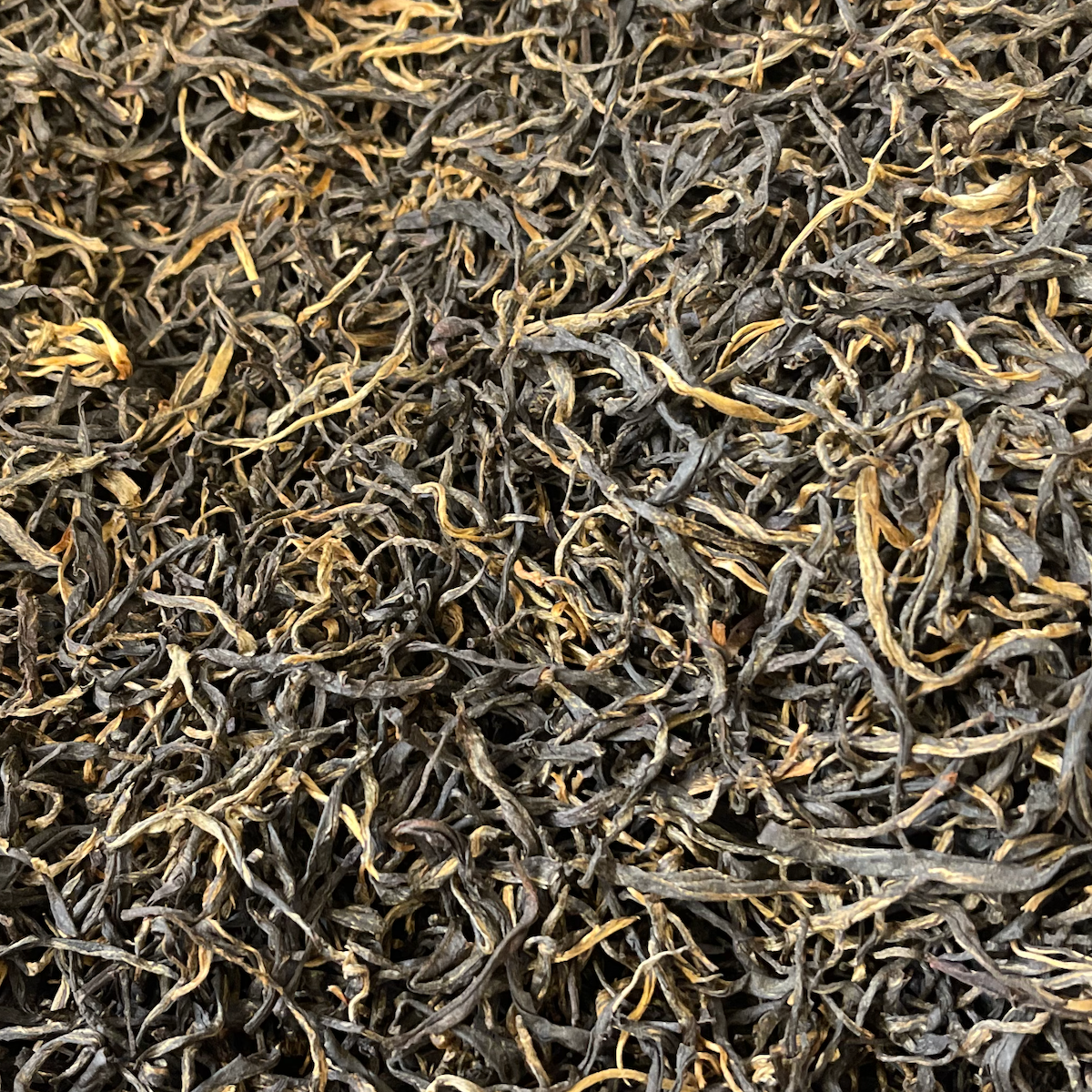 Yunnan Ancient Tree Black Tea | Magic Hour