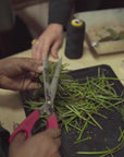 Biodynamic Handmade Blooming Tea