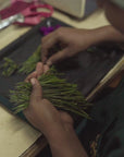 Biodynamic Handmade Rare Blink Bonnie Tea