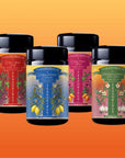 Four jars from the Teasoning Bundle: Tea-Infused Botanical Seasonings for Culinary Alchemy, labeled Chili Spice, Lemon Pepper Zinger, Fruity Fruit, and Roasted Garlic, are displayed against an orange gradient with vibrant illustrations.