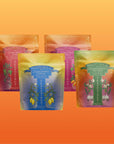 Four vibrant Teasoning Bundle pouches—Chili, Multi-Fruit, Lemon-Pepper, and Roasted Garlic—featuring botanical art are arranged in two rows on an orange gradient background. These are tea-infused seasonings for culinary alchemy.