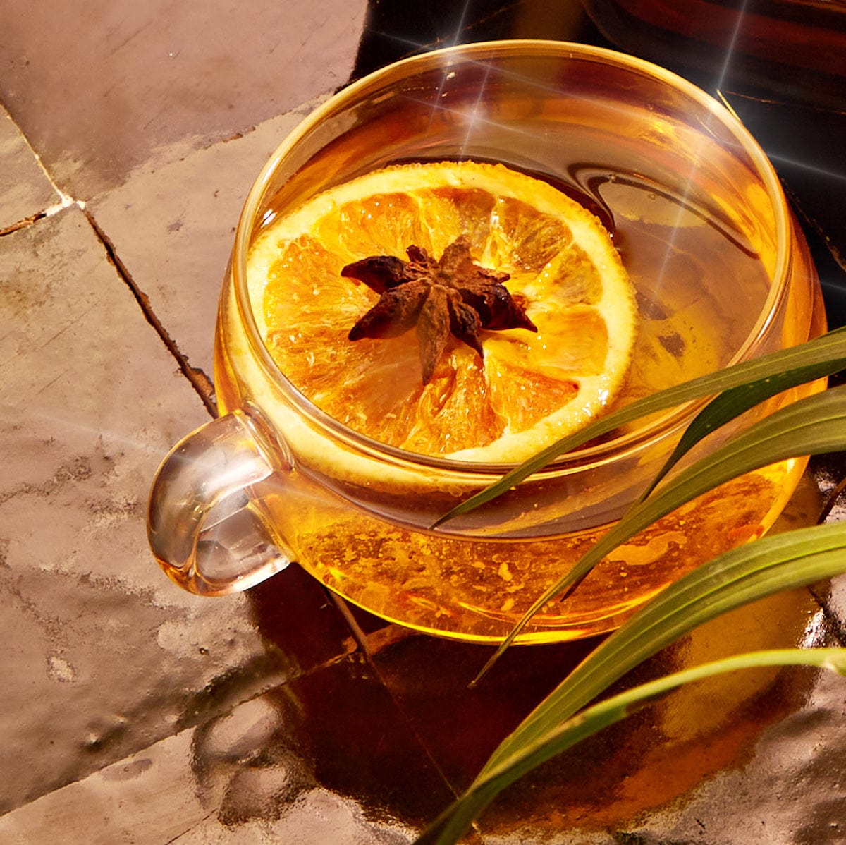 A clear glass teacup from the Spice Lovers Starter Set is filled with a golden liquid, garnished with a slice of orange and a star anise, resting on a glossy tiled surface. A green leaf partially frames the right side of the image, adding a touch of nature to the warm, cozy scene.