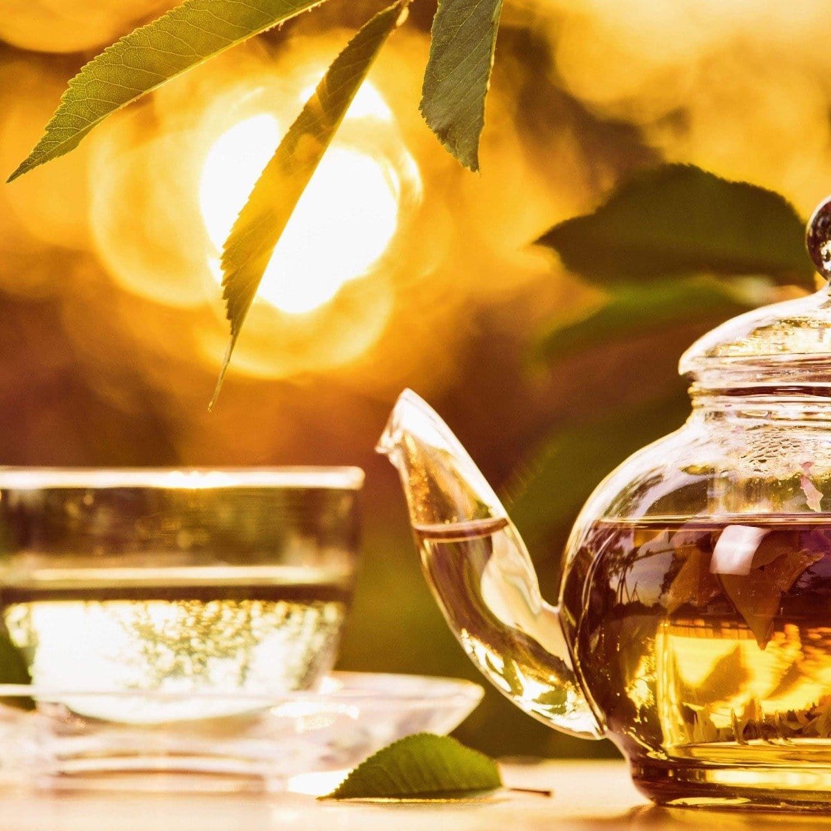 A glass teapot filled with Salutation™ Tea for the Solar Plexus Chakra and a clear glass teacup sit on a table, illuminated by the warm, golden sunlight of late afternoon or early evening. Green leaves hang overhead, adding a natural touch to the serene, picturesque scene.