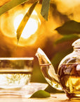 A glass teapot filled with Salutation™ Tea for the Solar Plexus Chakra and a clear glass teacup sit on a table, illuminated by the warm, golden sunlight of late afternoon or early evening. Green leaves hang overhead, adding a natural touch to the serene, picturesque scene.