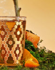 A clear glass filled with steaming hot detox tea sits atop a bed of green moss, showcasing an elegant honeycomb pattern in gold. Orange peel pieces are scattered around the moss, lending a vibrant touch to the earthy scene, reminiscent of the exotic offerings in the Spice Lovers Starter Set.