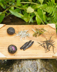 Biodynamic Handmade Rare Blink Bonnie Tea-50g Pouch (16 cups)-Magic Hour
