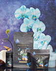 Butterfly Blue Coconut Cream Iced White Tea-Luxe Pouch (Refill your Jar - Includes with 12 Cold-Steep Sachets)-Magic Hour