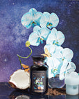 Butterfly Blue Coconut Cream Iced White Tea-Violet Glass Apothecary Jar (Includes with 12 Cold-Steep Sachets)-Magic Hour