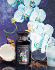 Butterfly Blue Coconut Cream Iced White Tea-Violet Glass Apothecary Jar (Includes with 12 Cold-Steep Sachets)-Magic Hour
