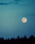 A full moon shines brightly in a clear, deep blue sky above a silhouetted tree line. Wisps of clouds are faintly visible, adding depth to the serene nighttime scene, much like the delicate essence of Silver Moon White Tea by Club Magic Hour enhancing a tranquil evening.