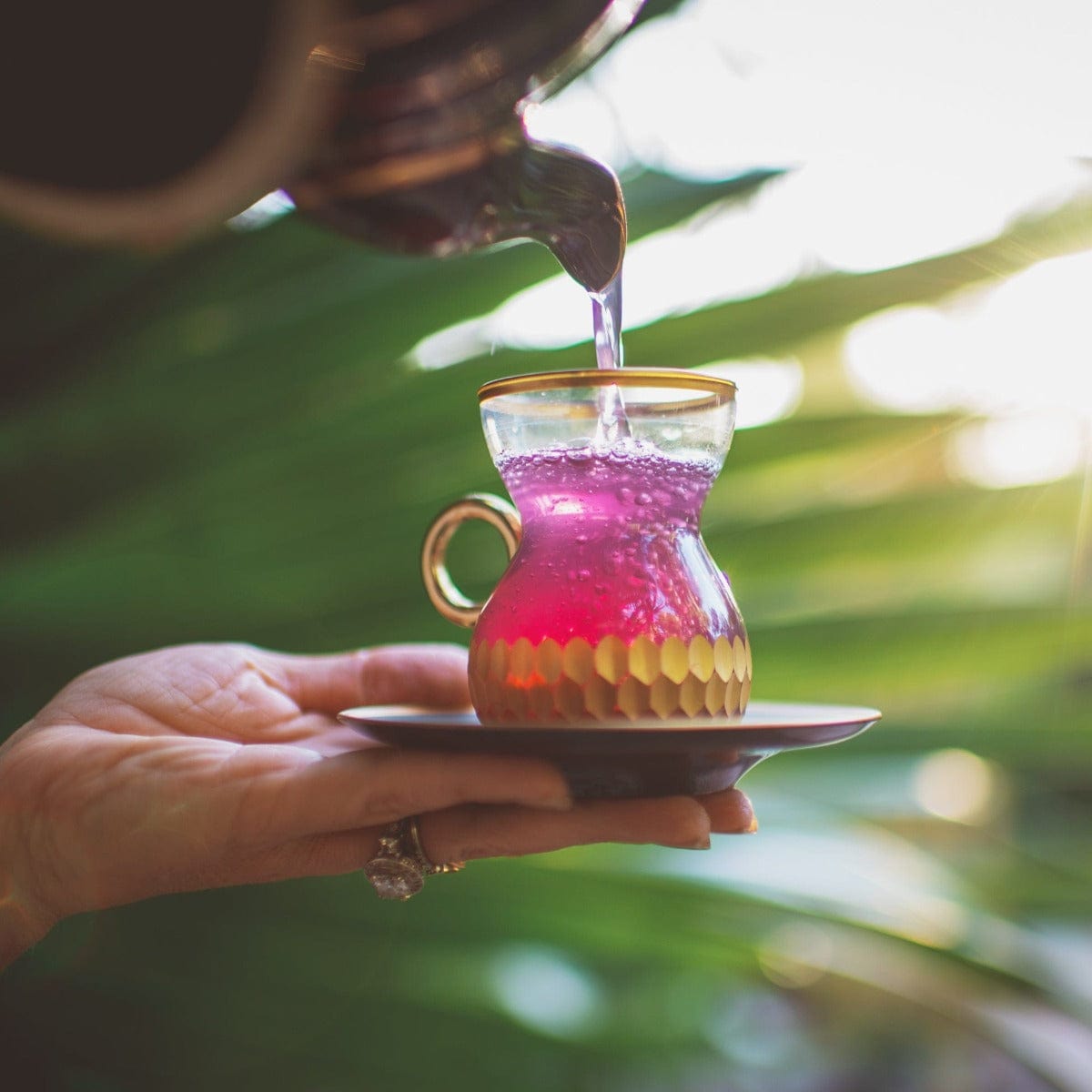 A person pours a vibrant purple liquid, known as Pink Tourmaline: Organic Dragon Fruit Hibiscus White Tea Case Pack by Magic Hour, from a teapot into an intricate, gold-rimmed glass placed on a matching saucer. Lush green leaves blur in the background as the sparkling tea fills the glass, offering heart and breast health benefits.