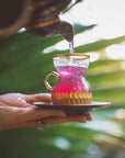 A person pours a vibrant purple liquid, known as Pink Tourmaline: Organic Dragon Fruit Hibiscus White Tea Case Pack by Magic Hour, from a teapot into an intricate, gold-rimmed glass placed on a matching saucer. Lush green leaves blur in the background as the sparkling tea fills the glass, offering heart and breast health benefits.