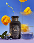 Pisces: Magnolia-Jasmine Blueberries & Cream Tea with Lion's Mane-Violet Glass Apothecary Jar (Up to 65 Cups)-Magic Hour