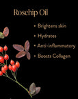Skinprayer Botanical Beautea Oil for Face, Neck, Decollete--Magic Hour