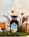 Sri Lankan Sunrise-Violet Glass Apothecary Jar (Up to 65 Cups)-Magic Hour