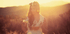 Fall in Love at First Sip - Magic Hour
