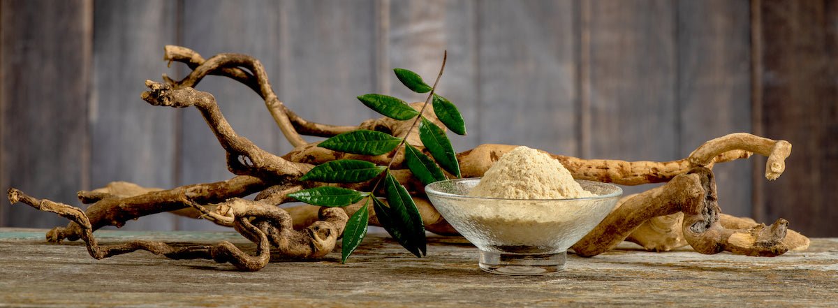 Ashwagandha: Nature's Secret to Health and Well-Being - Magic Hour