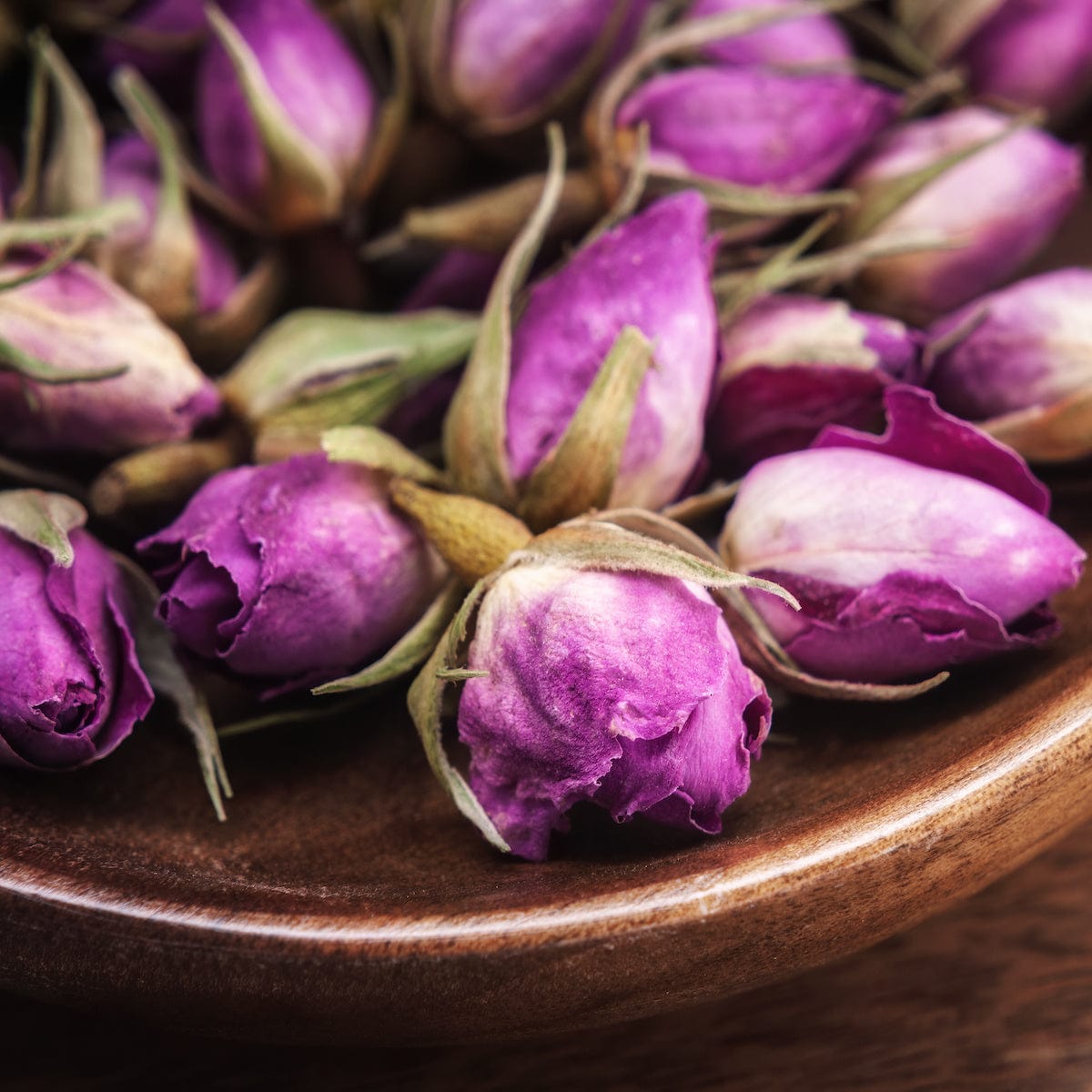 The Rose: Nature's Most Beloved Healer