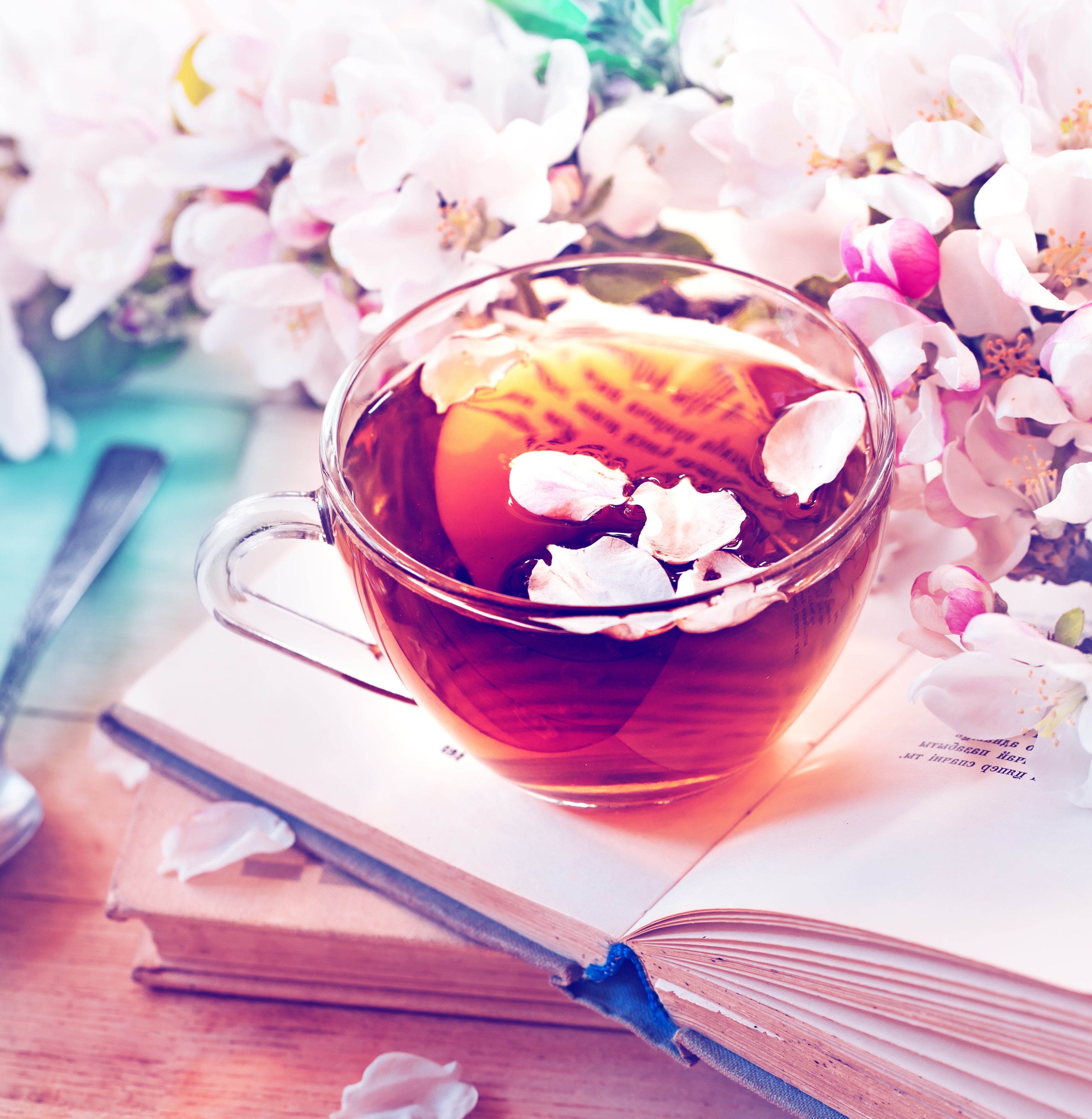 Floral Teas for Blooming Sips