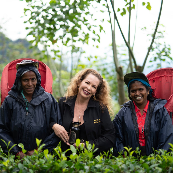 Tea. Learn Tea School & Immersive Learning Experience – Magic Hour