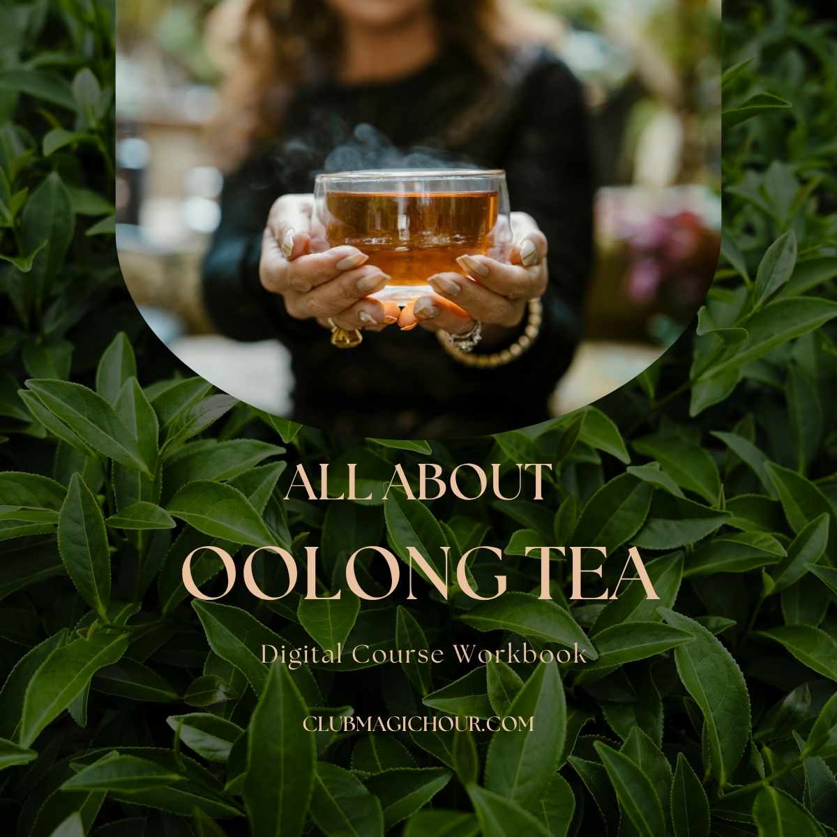 A person holds a steaming glass of Oolong tea above green tea leaves. Text: "All About Oolong: A Digital Coursebook. clubmagichour.com." Ideal for aspiring tea connoisseurs.