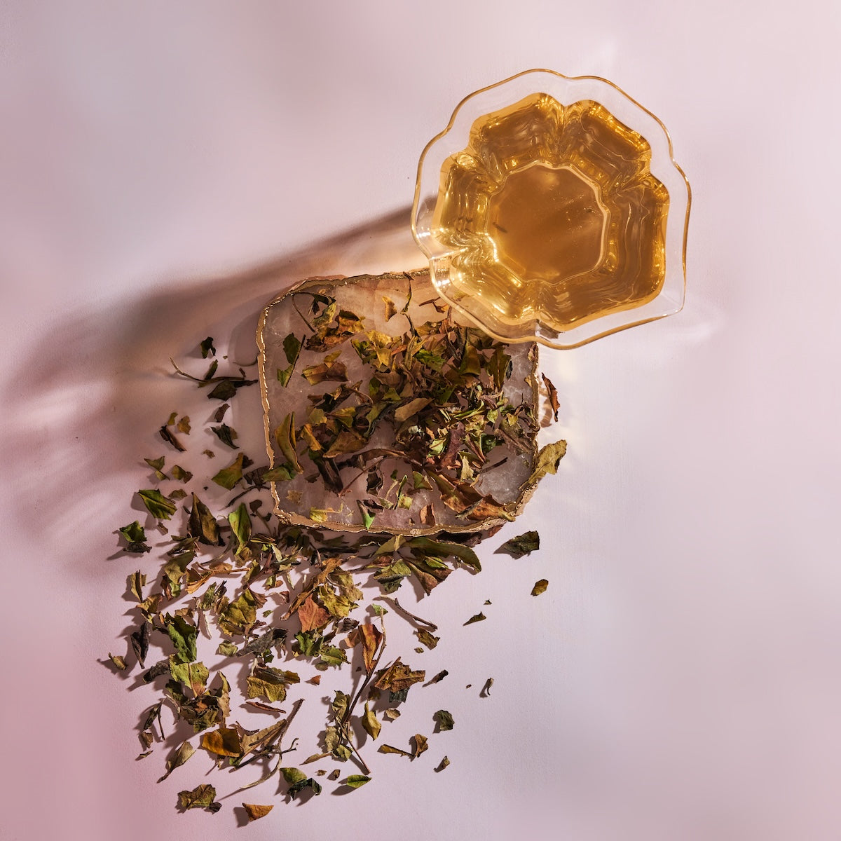 Bai Mudan White Tea | Magic Hour