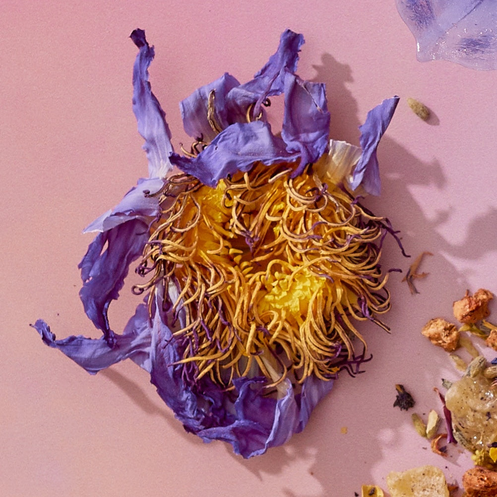 A close-up of Blue Lotus Flowers shows their curled purple and yellow petals and tangled stamens, evoking the calming effects sought in ceremonial tea, set against a light pink background with small debris nearby.