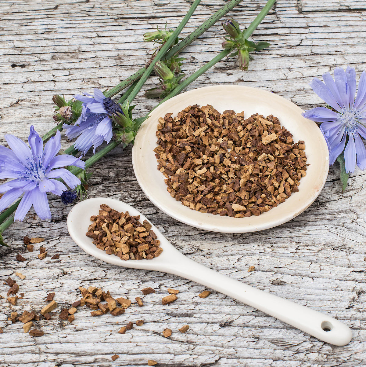 A small white bowl and spoon filled with dried, chopped root pieces are placed on a rustic wooden surface. Blue chicory flowers and stems surround the bowl and spoon, adding a touch of color and natural context to the arrangement.