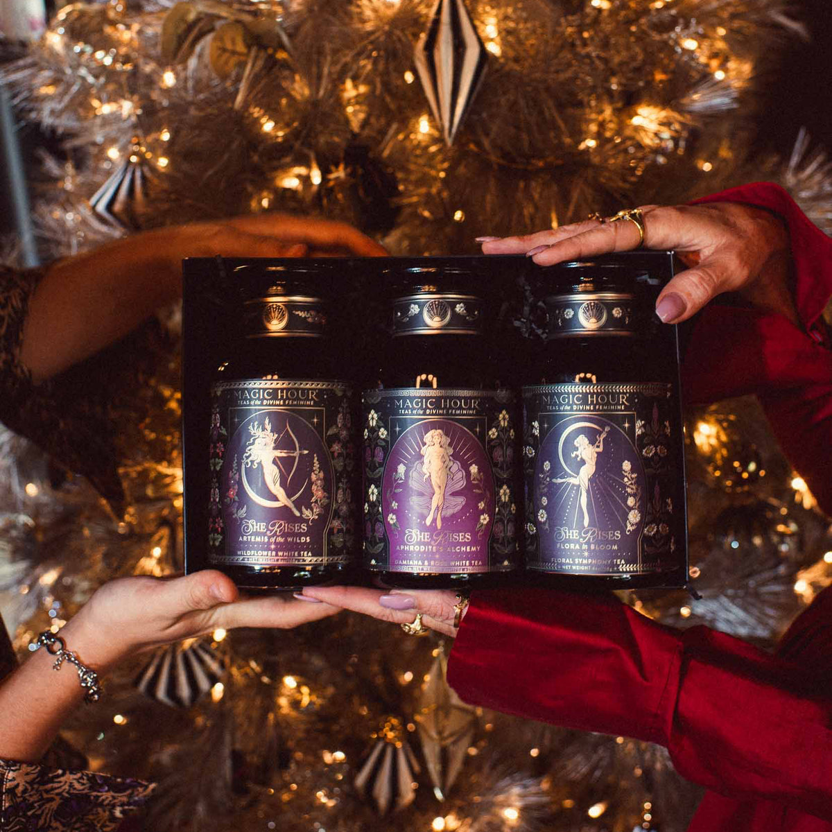 Two pairs of hands hold a She Rises Goddess Moonlit Bloom Apothecary Gift Box containing three dark glass apothecary jars of moonlight white tea, each featuring ornate, illustrated labels.