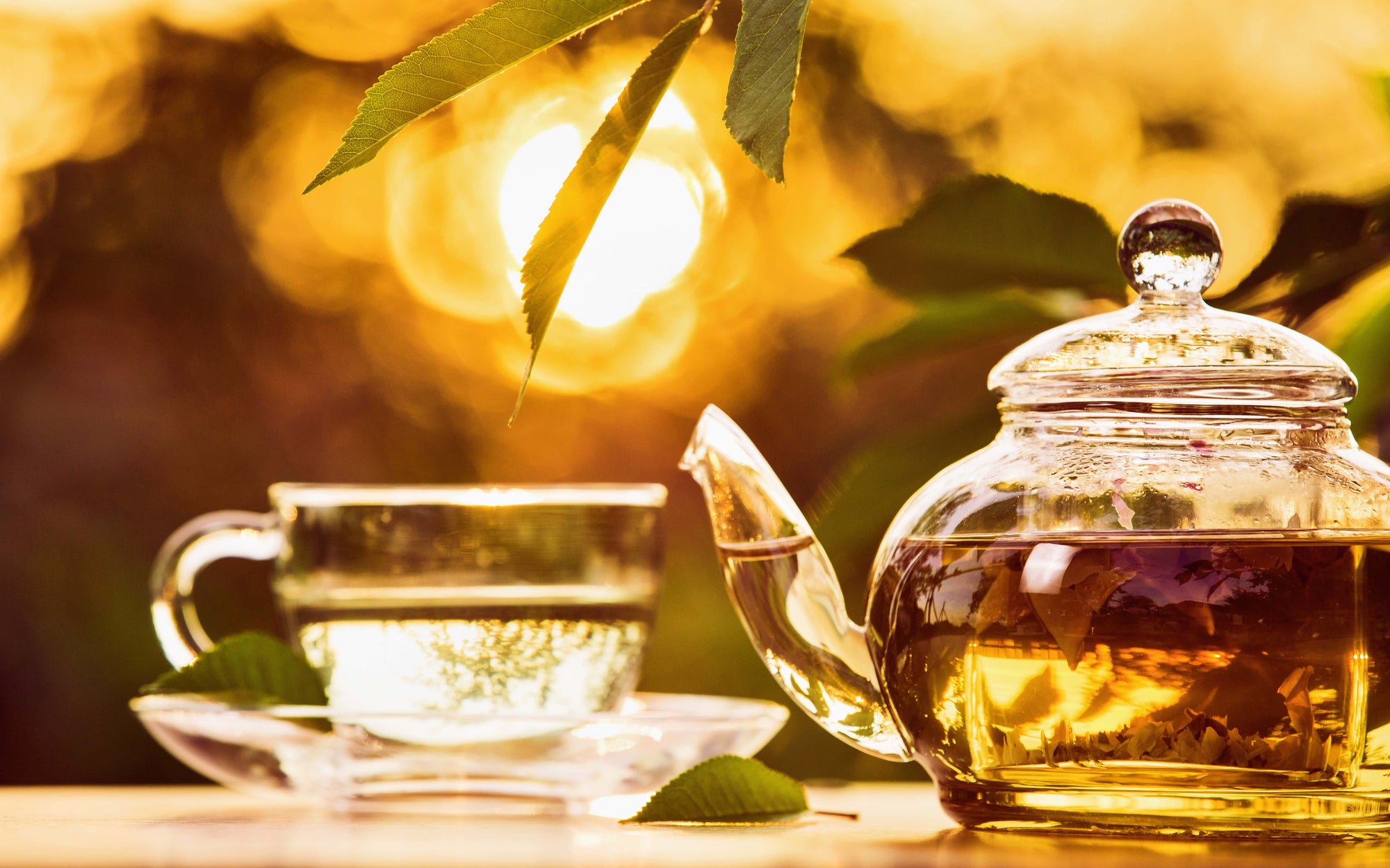 A glass teapot filled with tea and a glass cup sit on a wooden surface outdoors, bathed in warm, golden sunlight. A leafy branch and a few scattered leaves are visible in the background, accentuating the serene, nature-inspired setting.