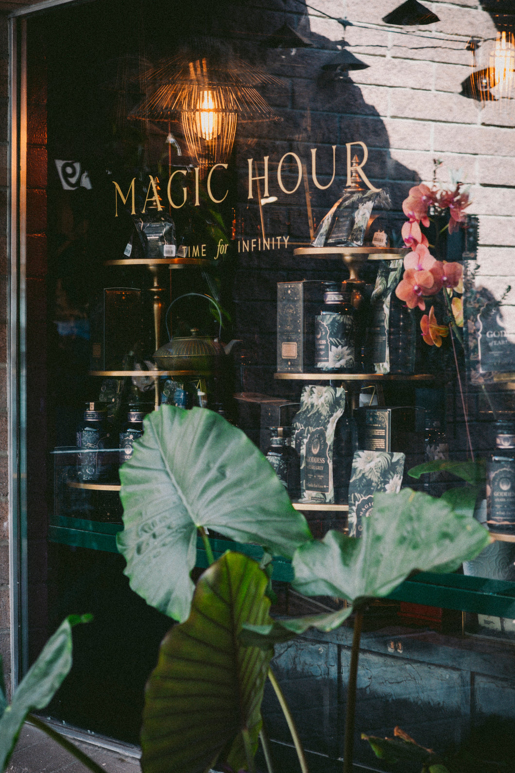 Plan Your Visit - Magic Hour