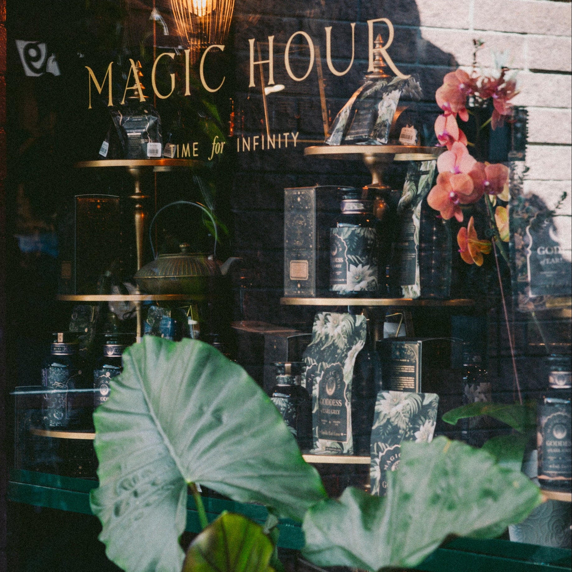 A storefront for Ojai Tea Salon displays "MAGIC HOUR" and "TIME FOR INFINITY" in gold. Reflected leafy plants frame tea essentials and the Tea Essentials + In Person &amp; Virtual Tea School Course, all visible through the glass.
