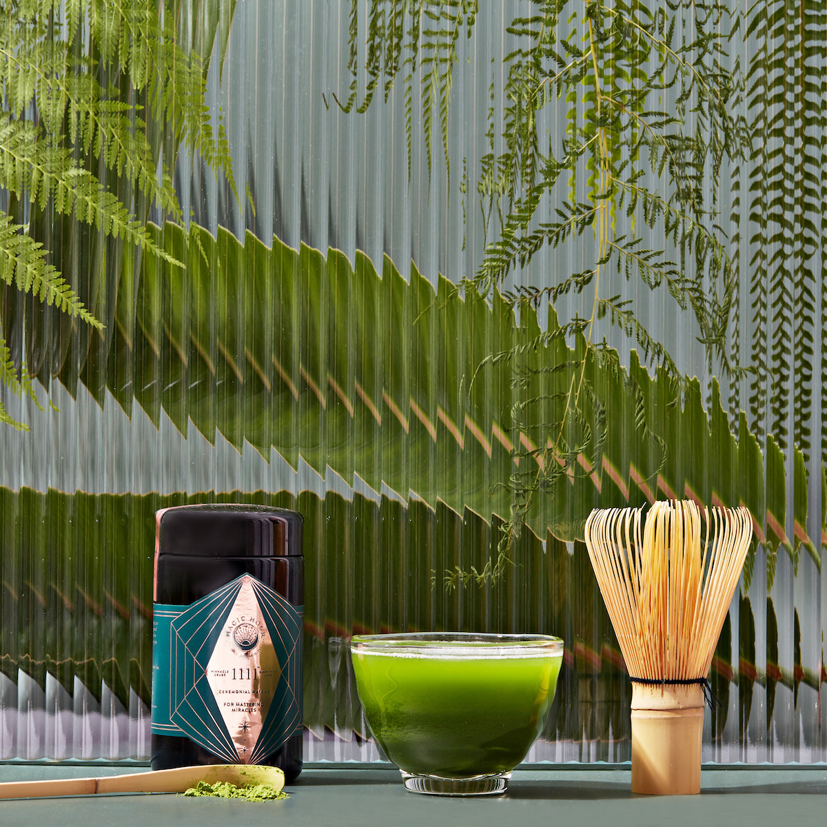 A serene tea setup featuring a dark canister with a geometric label, a glass bowl filled with vibrant green matcha tea, and a bamboo whisk. The background shows lush fern leaves behind a textured glass panel, creating a calm, natural ambiance.