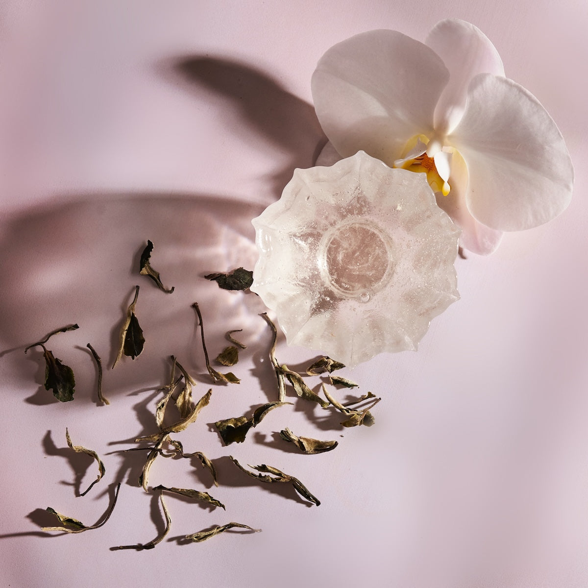 Close-up image of a translucent, intricately shaped ice cube next to wilted flower petals and leaves, arranged artistically on a light pink surface. A delicate white orchid flower with a yellow center lies beside the ice cube, evoking the serene beauty one might find in Yunnan tea gardens. This tranquil scene is reminiscent of Magic Hour's Moonlight White: Yue Guang Bai.