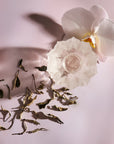 Close-up image of a translucent, intricately shaped ice cube next to wilted flower petals and leaves, arranged artistically on a light pink surface. A delicate white orchid flower with a yellow center lies beside the ice cube, evoking the serene beauty one might find in Yunnan tea gardens. This tranquil scene is reminiscent of Magic Hour's Moonlight White: Yue Guang Bai.