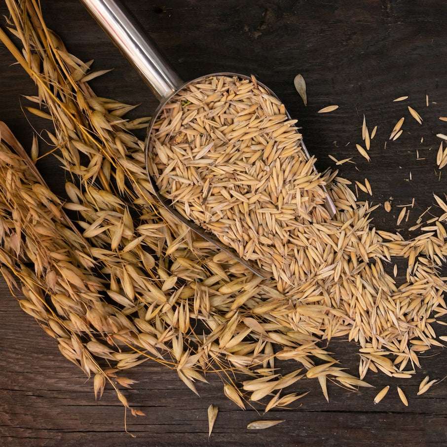 Oats Straw Example Divine Timing Rest | Magic Hour