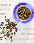 Pisces: Magnolia-Jasmine Blueberries & Cream Tea with Lion's Mane