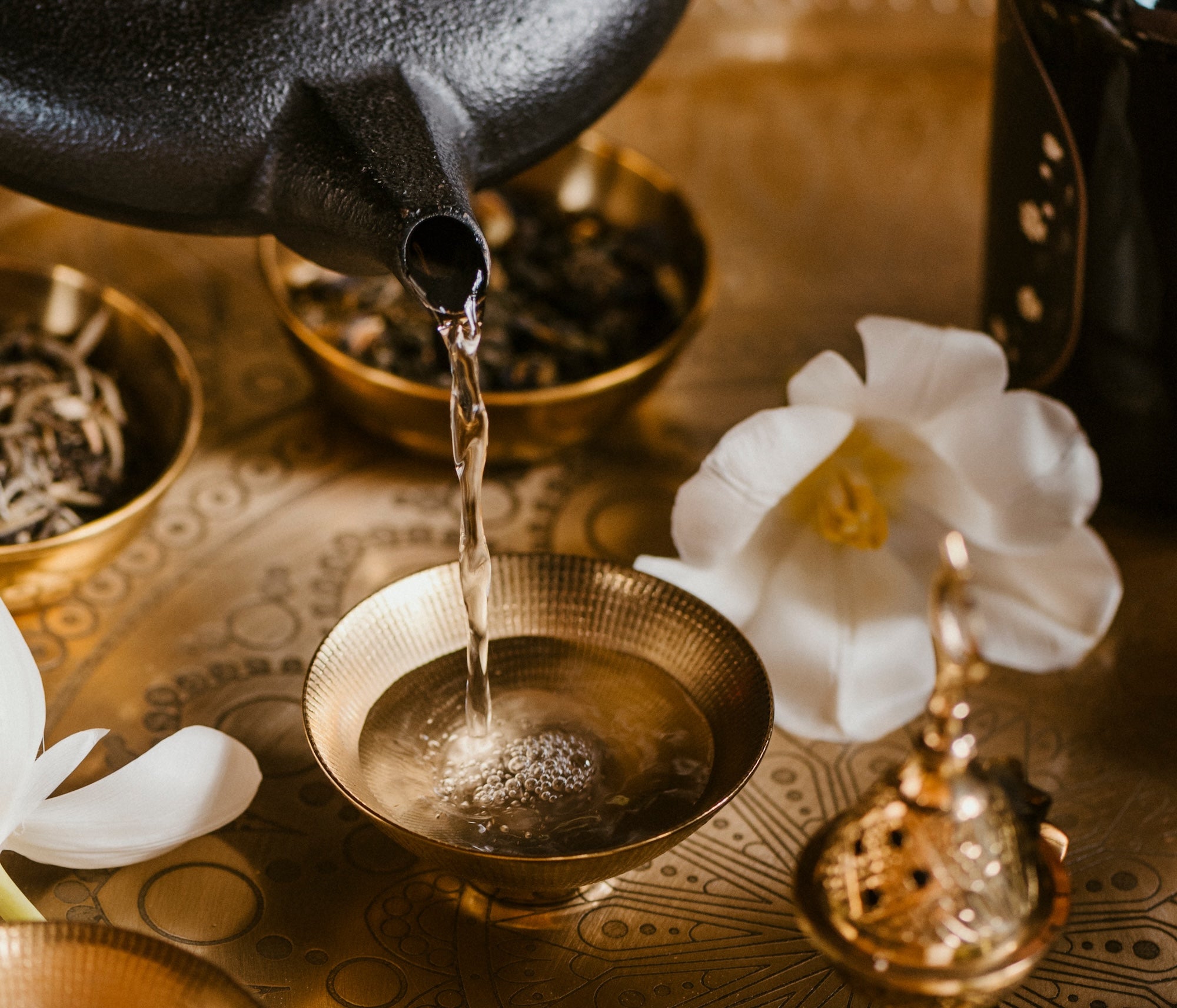 Connoisseurs Club Membership &ndash; Magic Hour